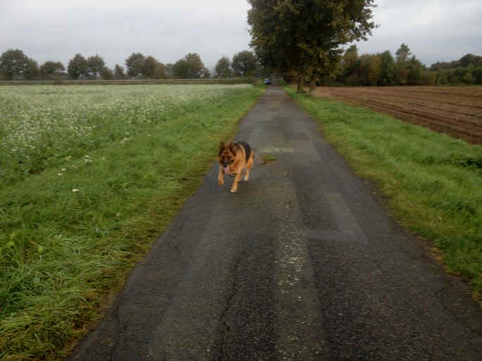 Chandrah vom Speichersee Storys ab Oktober 2013
