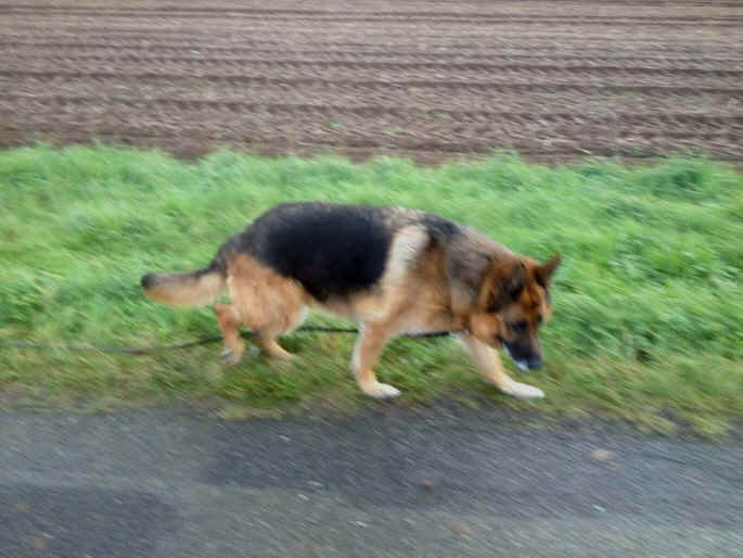 Chandrah vom Speichersee Storys ab Oktober 2013